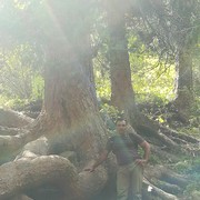  ,   , 41 ,   ,   , c 