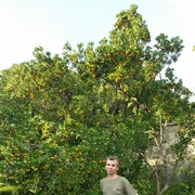 ���������� ��������, ���� ������� ������, 56 ���, ������������ ��� ������, ����� � ���������, c�������� ���������