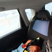 ���������� ������, ���� ������� Pavel, 29 ���, ������������ ��� ������, ����� � ���������