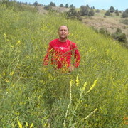  ,   Shavkat, 48 ,   