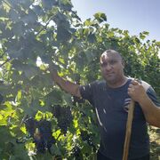 ���������� ������, ���� ������� ������, 44 ����, ������������ ��� ������, ����� � ���������