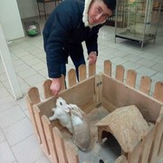 ���������� ������, ���� ������� ���, 37 ���, ������������ ��� ������, ����� � ���������, c�������� ���������, ���������