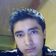  ,   Shaxriyor, 33 ,     , c 