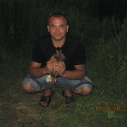  ,   , 44 ,   