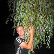 ���������� ���������, ������� ����, 39