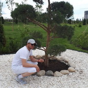 ���������� ������, ���� ������� ����, 46 ���, ������������ ��� ������, ���������