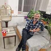 ���������� ������, ���� ������� Talex������, 54 ����, ������������ ��� ������, ����� � ���������, c�������� ���������, ���������