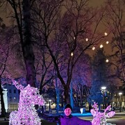  ,   Mihail, 41 ,     , c 