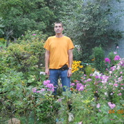  ,   , 52 ,  