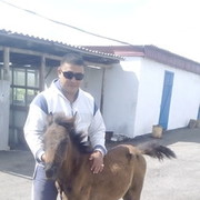 ,   Arman ara, 34 ,   ,   , c 