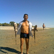  ,   Talgat, 58 ,     , c 