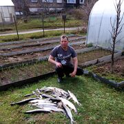 ���������� �����-���������, ���� ������� ���������, 46 ���, ������������ ��� ������, ����� � ���������, c�������� ���������