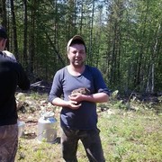  ,   , 43 ,  