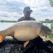 ���������� �����������, ���� ������� ����, 43 ����, ������������ ��� ������, ����� � ���������, c�������� ���������