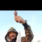 ���������� ���������, ���� ������� �������, 44 ����, ������������ ��� ������, c�������� ���������