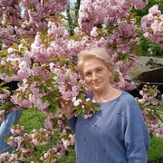  ,   , 66 ,   ,   