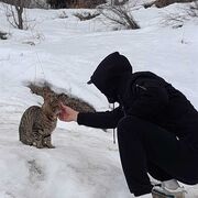 ���������� ���, ���� ������� Timur, 35 ���, ������������ ��� ������, ����� � ���������, c�������� ���������