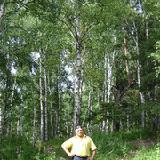  -,   , 63 ,   ,   , c 