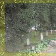  -,   , 38 ,   ,   , c 