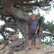 ���������� ������, ���� ������� �����, 67 ���, ������������ ��� ������, ����� � ���������, c�������� ���������