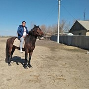  ,   Rustam, 41 ,   ,   , c 