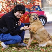 ���������� ������, ���� ������� �����, 32 ����, ������������ ��� ����� � ���������, c�������� ���������