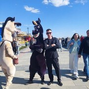 ���������� �����������, ���� ������� �����, 37 ���, ������������ ��� ������, ����� � ���������, c�������� ���������