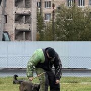  -,   Zlayababka, 20 ,   ,   