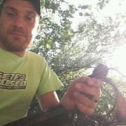 ���������� ��������, ���� ������� �������, 37 ���, ������������ ��� ������, ����� � ���������, c�������� ���������