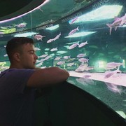 ���������� ������, ���� ������� ������, 30 ���, ������������ ��� ����� � ���������, c�������� ���������