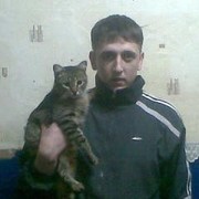  ,   , 38 ,   ,   , c 