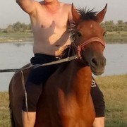  -,   Ramz, 32 ,   ,   , c 