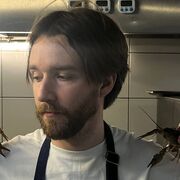 ���������� �����-���������, ���� ������� �������, 27 ���, ������������ ��� ������, ����� � ���������