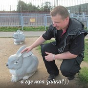 ���������� �����, ���� ������� �����, 43 ����, ������������ ��� ������, ����� � ���������, c�������� ���������