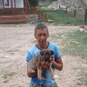  ,   , 44 ,   ,   