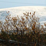 ���������� ����, ���� ������� �����, 39 ���, ������������ 