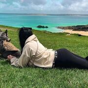 ���������� ������, ������