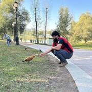 ���������� ������, ���� ������� �����, 32 ����, ������������ ��� ������, ����� � ���������