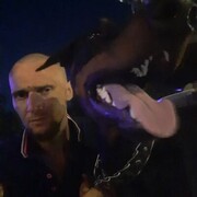 ���������� ������-��-����, ���� ������� ������, 38 ���, ������������ ��� ������, ����� � ���������, c�������� ���������