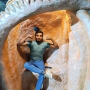 ���������� ������, ���� ������� ����, 29 ���, ������������ ��� ������, ����� � ���������, c�������� ���������