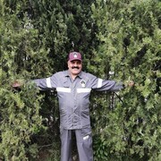  ,   , 62 ,   ,   