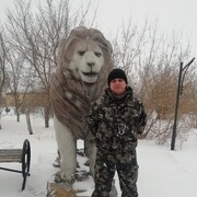 ���������� ���������, ���� ������� ������, 40 ���, ������������ ��� ������, ����� � ���������