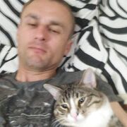  ,   , 41 ,     , c 