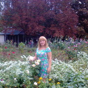 ���������� ��������, ���� ������� �����, 52 ����, ������������ ��� c�������� ���������