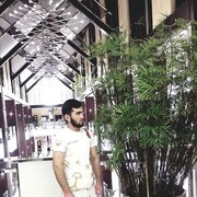 ���������� ������, ���� ����� ��������, 24 ����, ������������ ��� c�������� ���������