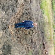 ���������� ������-���������, ���� ������� ���, 38 ���, ������������ ��� ������, ����� � ���������, c�������� ���������, ���������