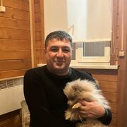 ���������� ������, ���� ������� ������, 40 ���, ������������ ��� ������, ����� � ���������