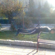  ,     , 29 ,   ,   , c , 