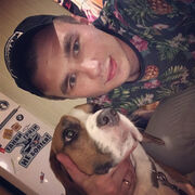 ���������� ������, ���� ������� �����, 33 ����, ������������ ��� ������, ����� � ���������