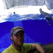 ���������� �����, ���� ������� Stanislav, 38 ���, ������������ ��� ������, ����� � ���������, c�������� ���������, ���������